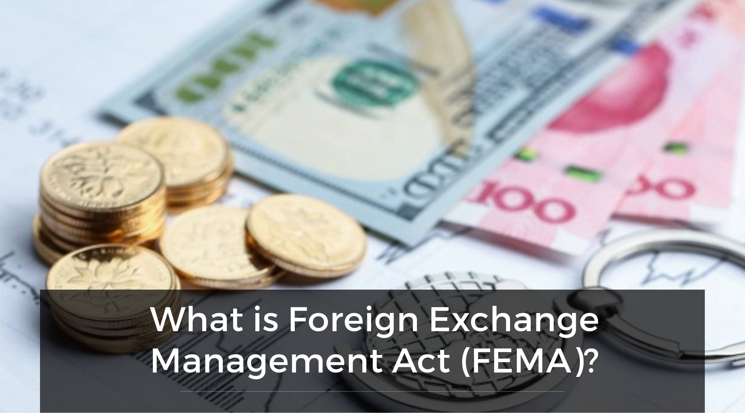 What Is Foreign Exchange Management Act (FEMA)?